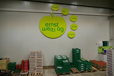 B2B Store - Logo Ernst Welti AG